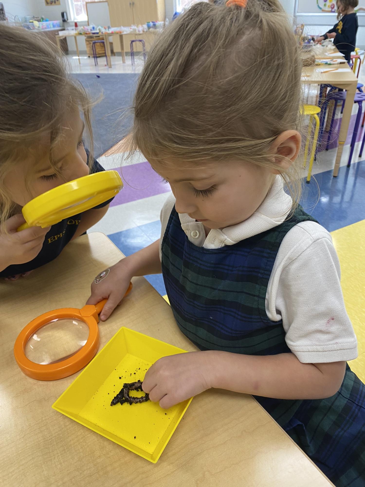 PreK science explorers